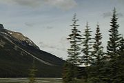 37 - Banff to Icefields - IMG_0954